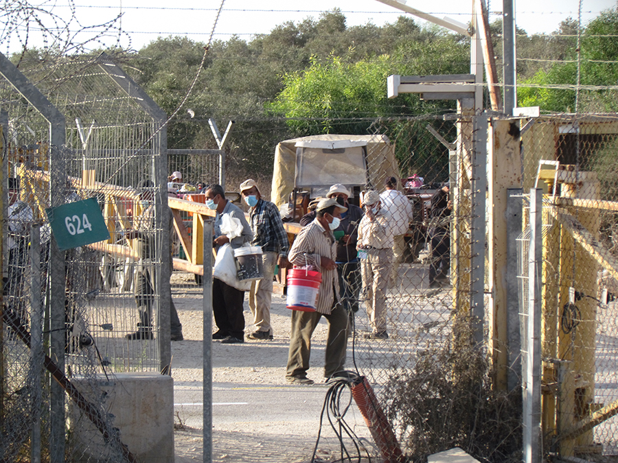 Palestinian farmers from Deir al Ghusun returning from olive groves behind the West Bank Barrier, fall 2020. Picture by OCHA
