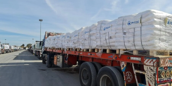 World Food Programme (WFP) trucks cross into Gaza via Zikim and Kerem Shalom crossings. 19 January 2025. Photo: WFP