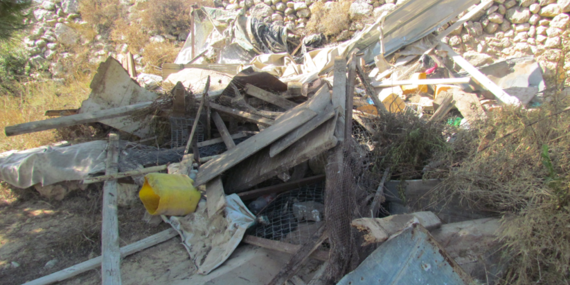 الولجة، أغسطس 2014