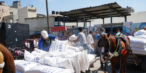 UNRWA food assistance distribution, Gaza. © Photo by OCHA