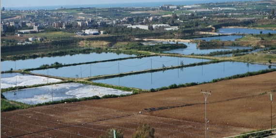 מאגרי שפכים בצפון רצועת עזה. צילום: משרד האו״ם לתיאום עניינים הומניטריים, 2017