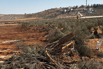 Land levelling and uprooting of trees in Al Mughayyir village, in Ramallah governorate, during a four-day Israeli operation between 21 and 24 August 2025. Photo by OCHA.