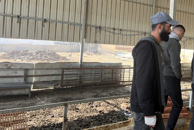 אחד מ-12 הפלסטינים שנפצעו מידי מתנחלים בדיר דיבוואן, בנפת רמאללה, ב-26 בדצמבר 2025. האיש הוכה בעת ששמר על בעלי חיים בשעות הלילה, ונכבל בידיו וברגליו בעת שמתנחלים גנבו כמעט 150 כבשים. צילום: משרד האו"ם לתיאום עניינים הומניטריים.