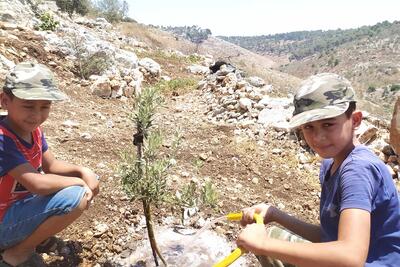 טארק ומאלכ סבאח משקים שתיל זית במים מבור מים שזה עתה נבנה במטע של משפחתם, בקפין שבצפון הגדה המערבית. תמונה: Premiere Urgence Internationale, 2021.