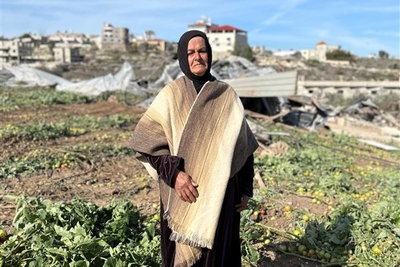 تقف خاتمة وسط أنقاض دفيئتها الزراعية التي دمرتها القوات الإسرائيلية في 13 كانون الثاني/يناير في قرية الفندق شرق مدينة قلقيلية. تصوير مكتب الأمم المتحدة لتنسيق الشؤون الإنسانية