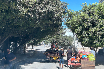 More Palestinian families fleeing west towards Deir al Balah following another Israeli evacuation order on 16 August. Photo: OCHA