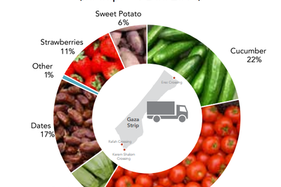 Chart: Value of Gaza exports and transfers by product
