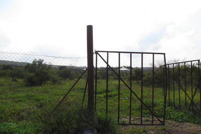 Abandoned lands behind the Barrier in Qalqiliya due to the lack of permits. February 2019