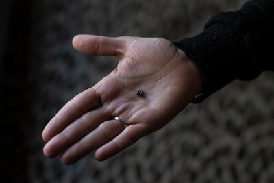 A woman's hand holding the remains of munitions extracted from her wounded son’s body. Archive picture by Tanya Habjouqa.