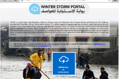 Screenshot: Winter Storm Online System